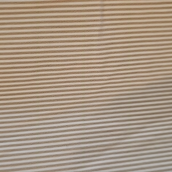 Express Design Studio Shorts - Picture 2 of 9